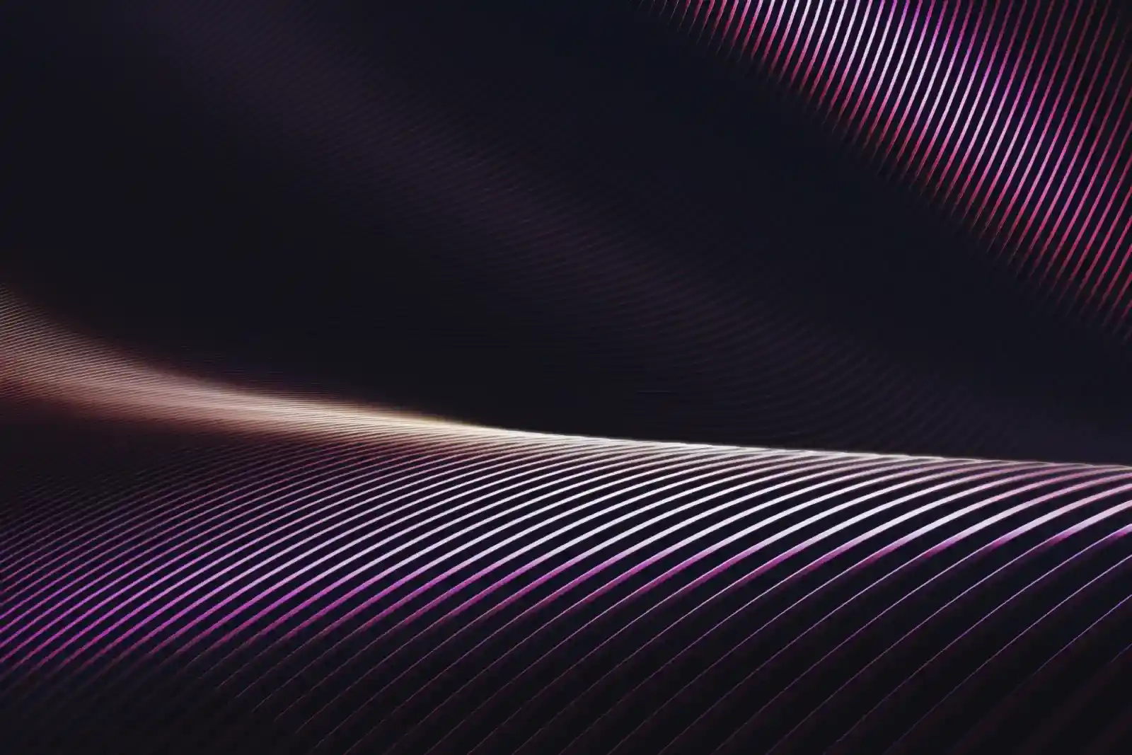 banner_img